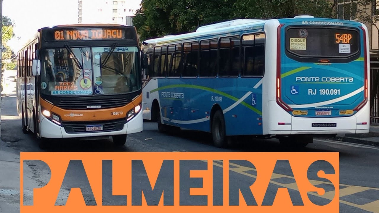 Palmeiras (RJ) - movimentação de ônibus 🚍