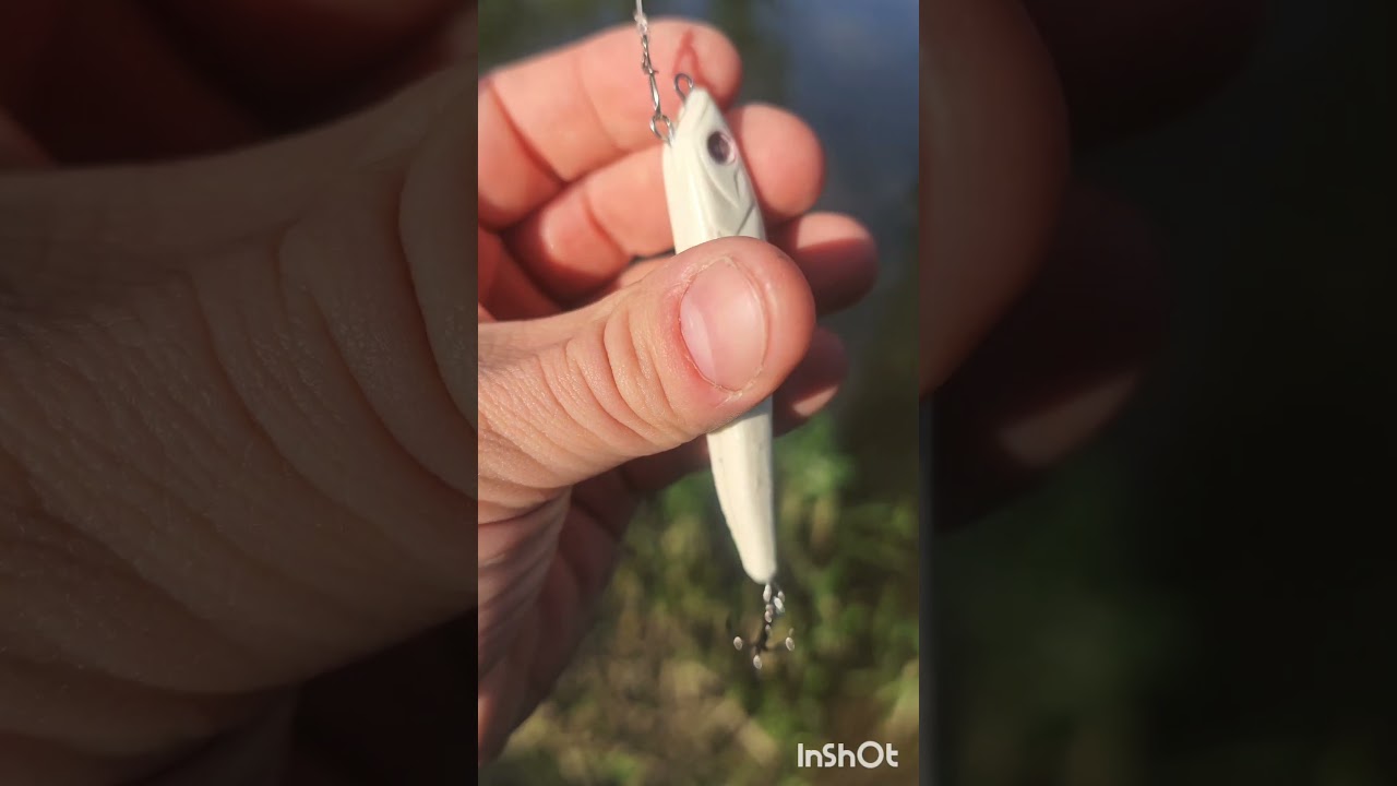 GOBIO stickbait nowy projekt #spinning #wędkarstwo #aspfishing #stickbait #fishing #lure