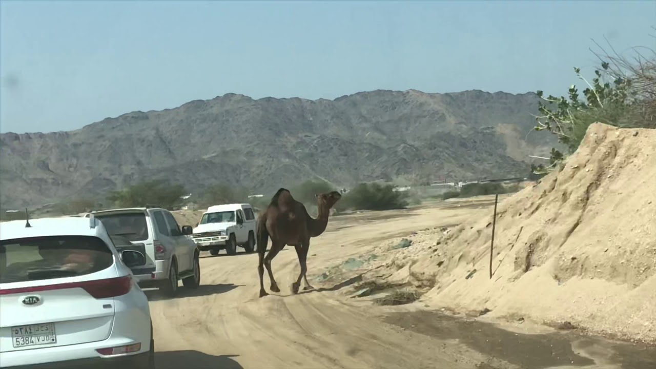 زيارة وادي نعمان وخرار الخشعة الجمعة ١٤٤٢/٣/٢٠هـ