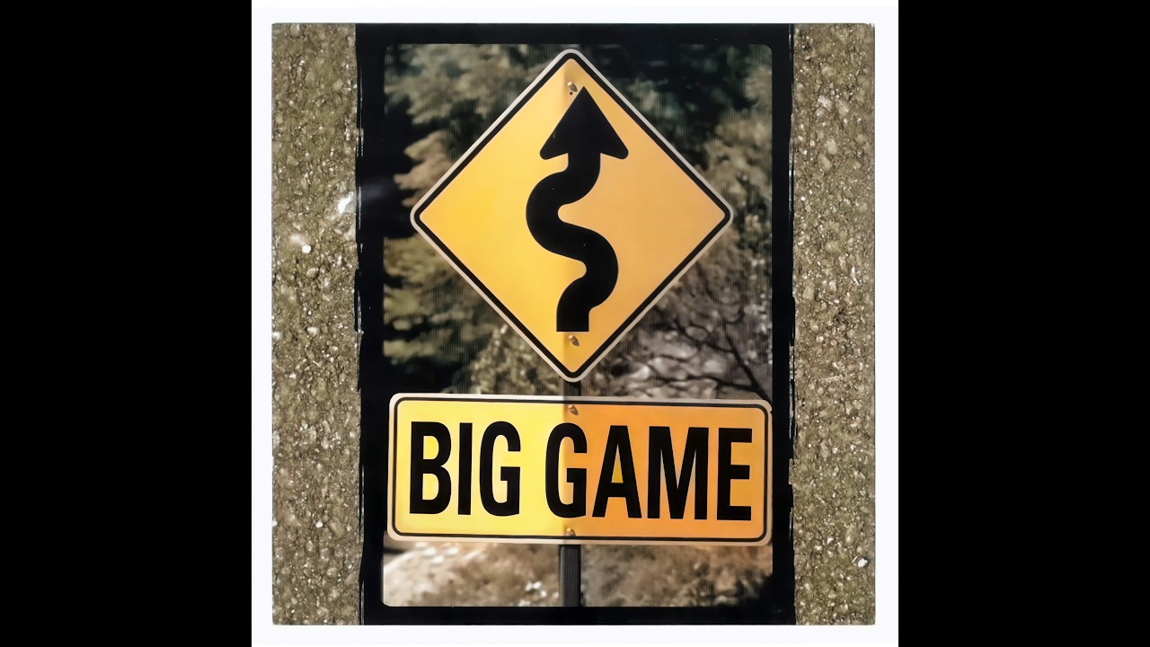 The Assassin (J. McAfee) BIG GAME
