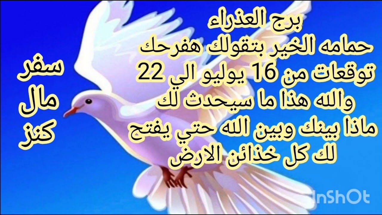 برج العذراء حمامه الخير بتقولك هتفرحك 💫 توقعات من 16 يوليو الي 22 💫 والله هذا ما سيحدث لك 