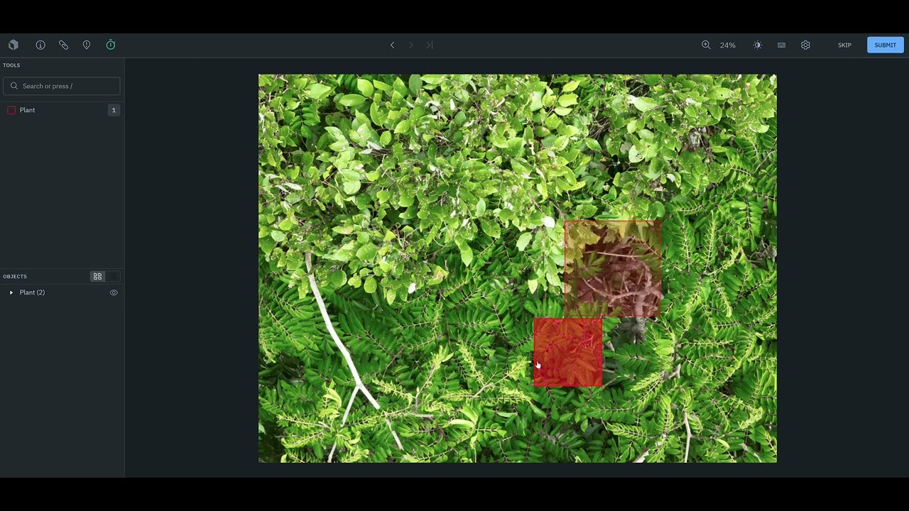 🌿 Labelbox × Pl@ntNet — Demo bounding box workflow