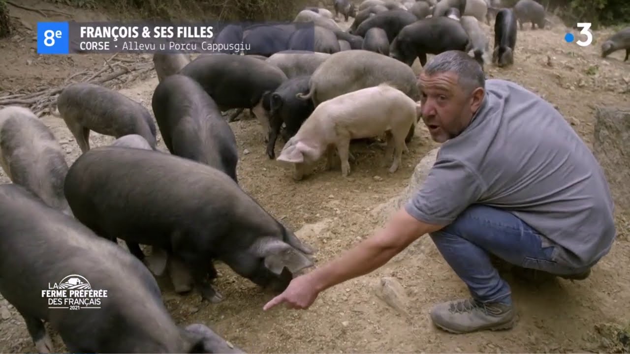 François Albertini - Allevu u Porcu Cappusgiu - Charcuterie Corse AOP