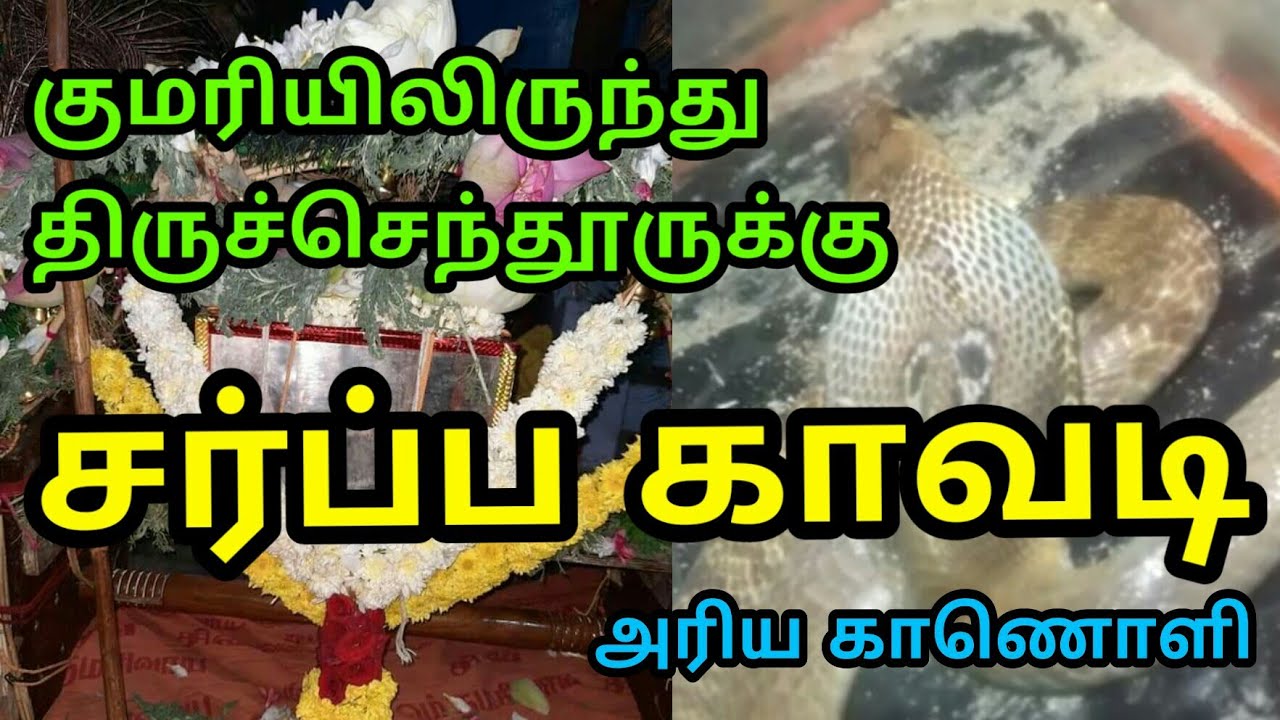 Sarpa Kavadi from Kanyakumari - Tamil God - Tiruchendur Murugan Temple - Kavadi Attam - Tamil Nadu