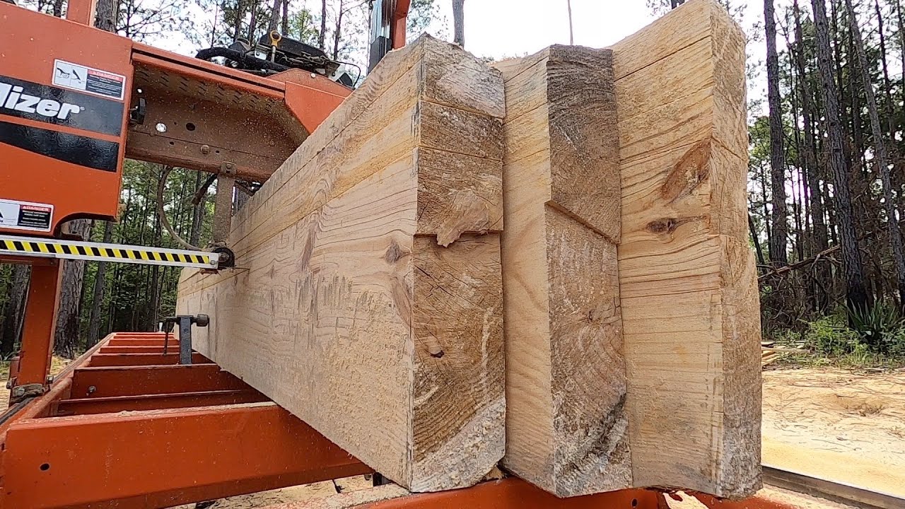 Nasty Surprises Inside a Saw Log