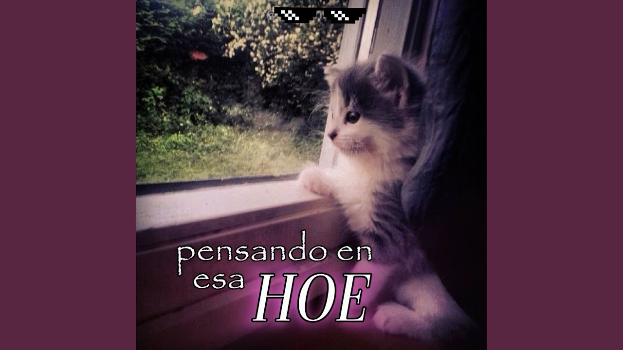 Pensando en Esa Hoe