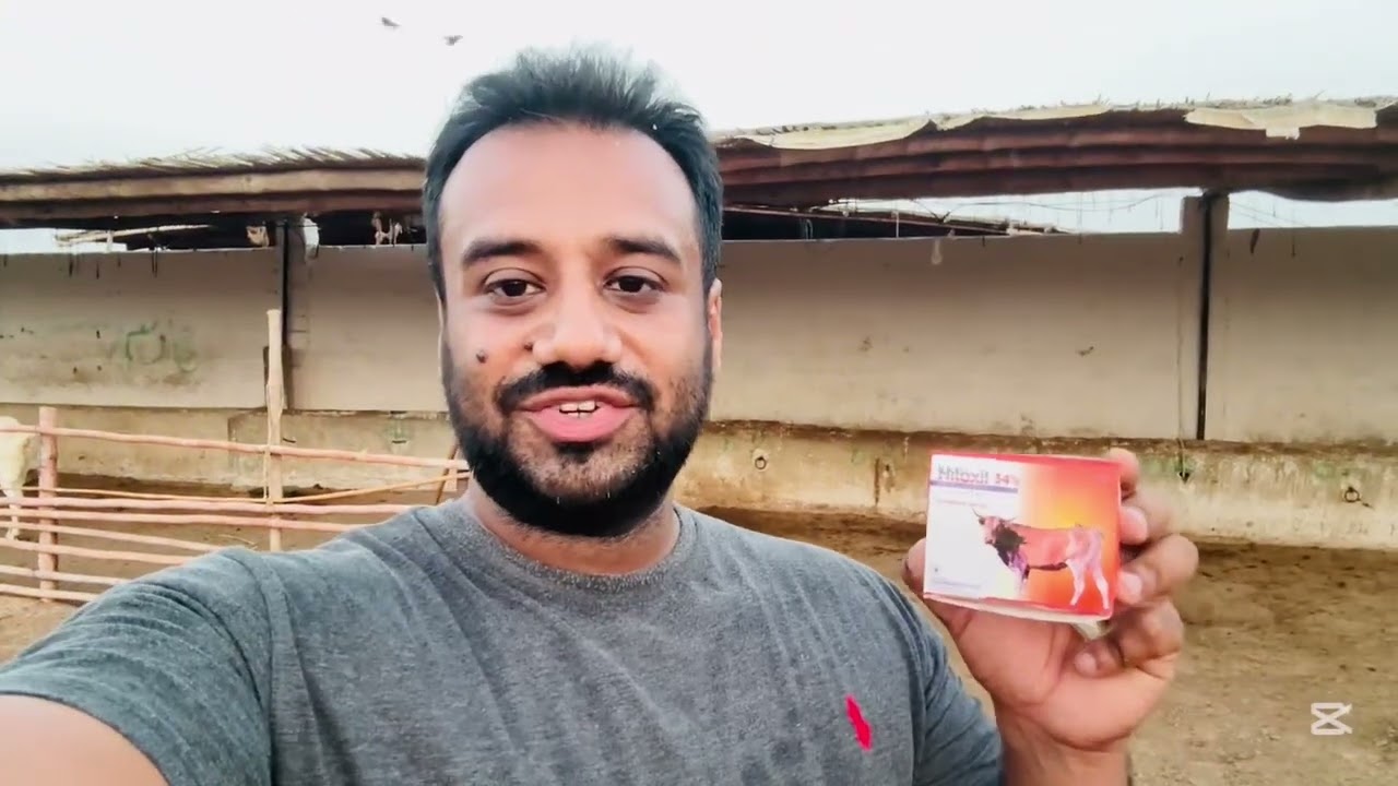 Bakro ka wazan bharhana hai tu ye injection lazmi lagae | Bakra Kamzor Horaha Hai