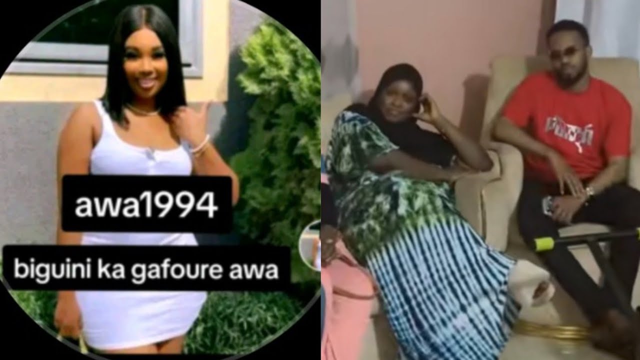 Awa 94 binguini et palmer 