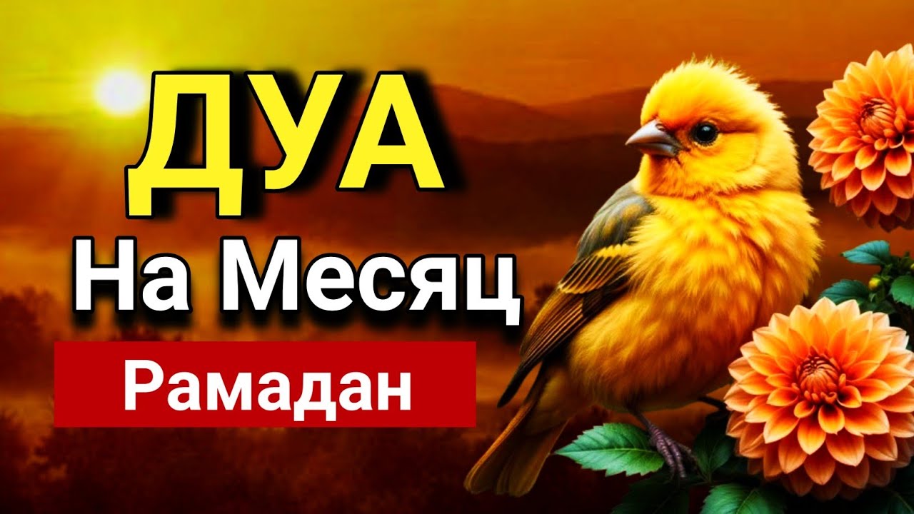 ☝️🔑 СЛУШАЙ ЭТО ДУА В МЕСЯЦЕ РАМАДАН - ДУА КОТОРОЕ СТИРАЕТ ВСЕ ГРЕХИ! 🤲✨💯