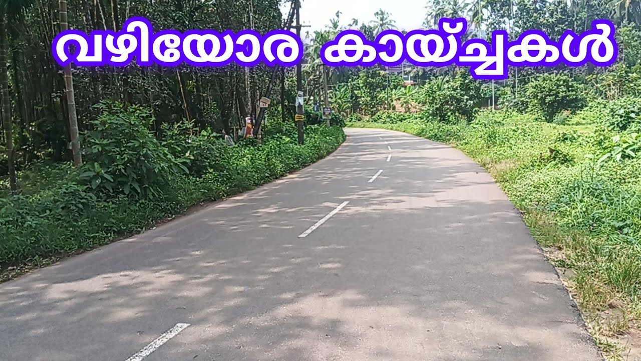 അരീക്കോട് വഴി പൊന്നാം കയം വഴി യോര കായ്ച്ചകൾ കാണാം/നമ്മുടെ നാട് /exploringhorizon