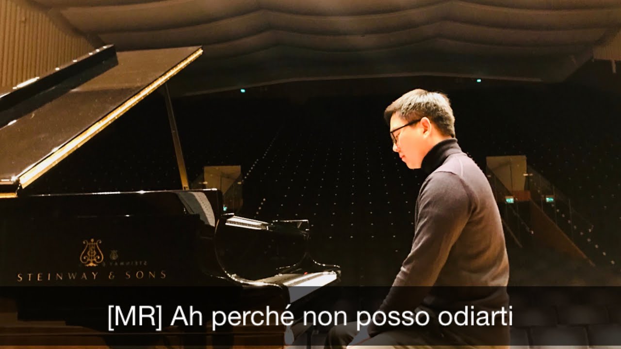 Ah perché non posso odiarti karaoke, mr