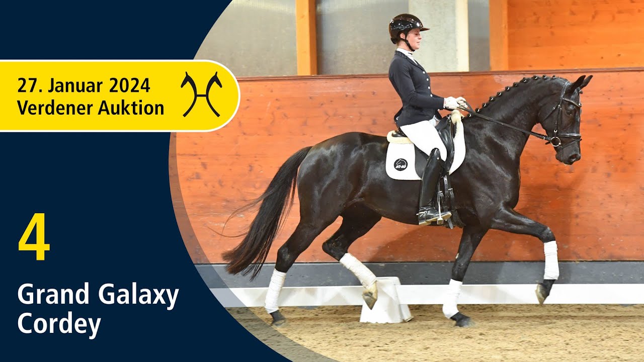 Verden Auction Online - Jan. 27 - No. 4 Grand Galaxy Cordey by Grand Galaxy Win  - Fürstenball