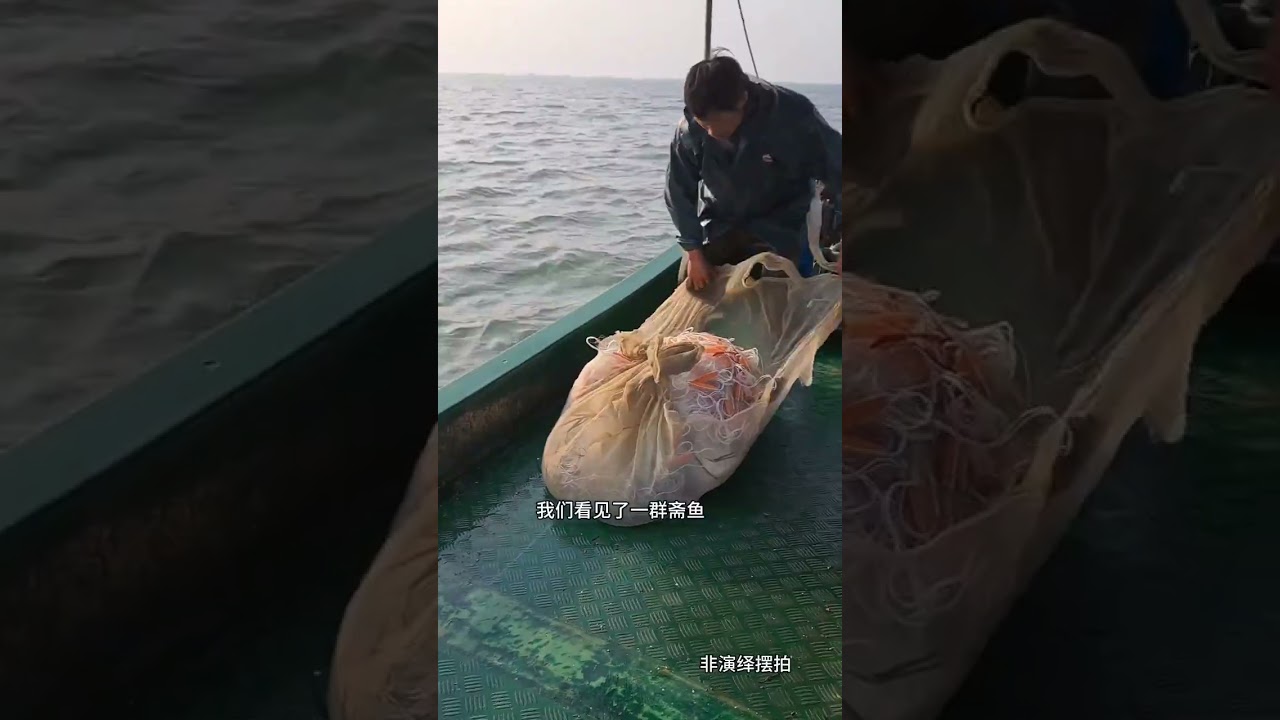 我要上热门 出海捕鱼 渔民生活实拍