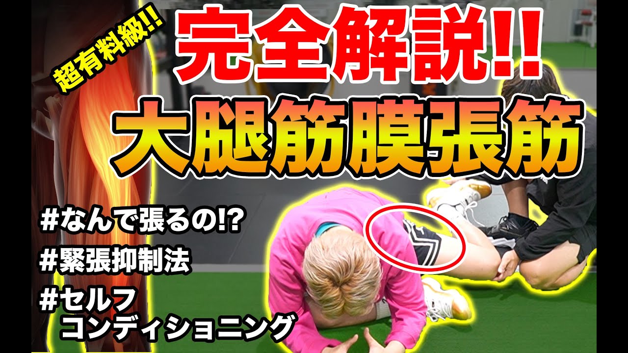 【完全解説】超有料級！大腿筋膜張筋はなぜ過緊張するの？抑制〜コンディショニングまで徹底解説します