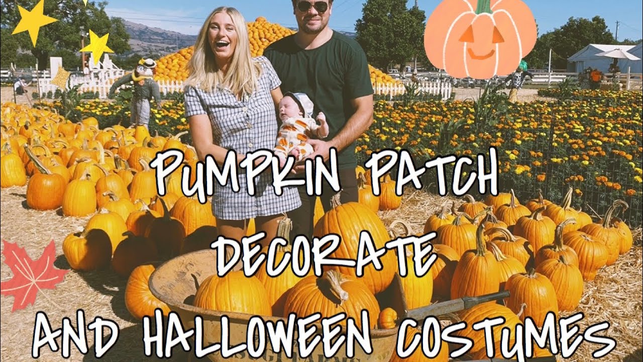 HALLOWEEN DECORATION!