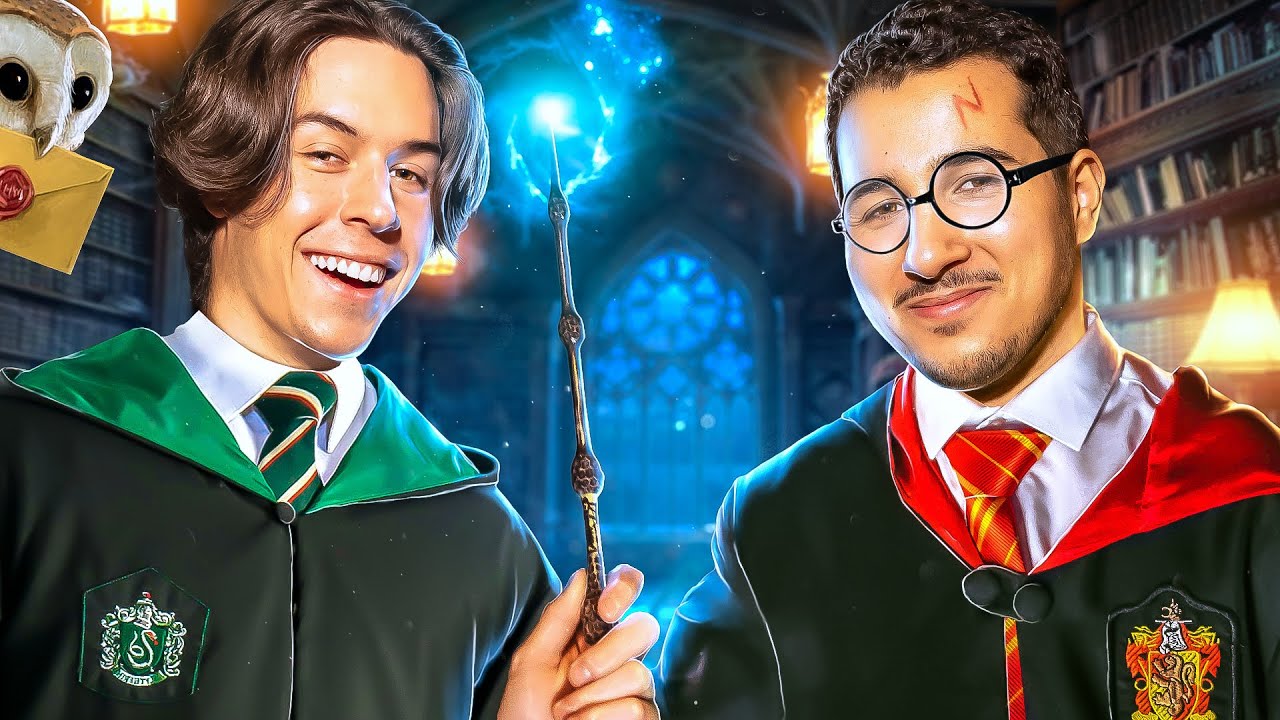 TU ES UN INFLUENCEUR HARRY ! - DOUBLAGE (ft. SEB)