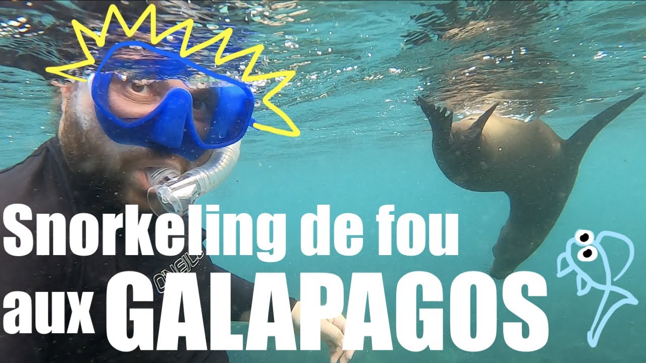 Playa Mann : un des meilleurs snorkeling des Galapagos !
