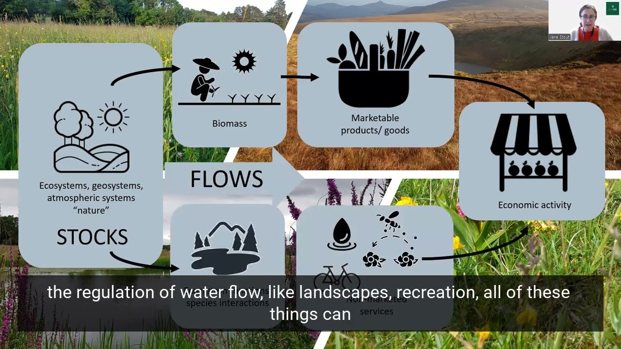 ForES project - Introduction to a Natural Capital Approach, Prof Jane Stout, Trinity College Dublin