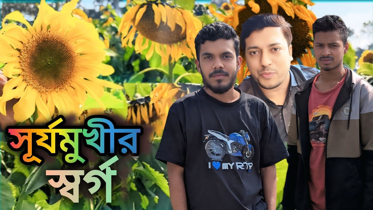 সূর্যমুখী বাগানের অপরূপ সৌন্দর্য 🌻 | Sunflower Garden Bangladesh | Nature Vlog