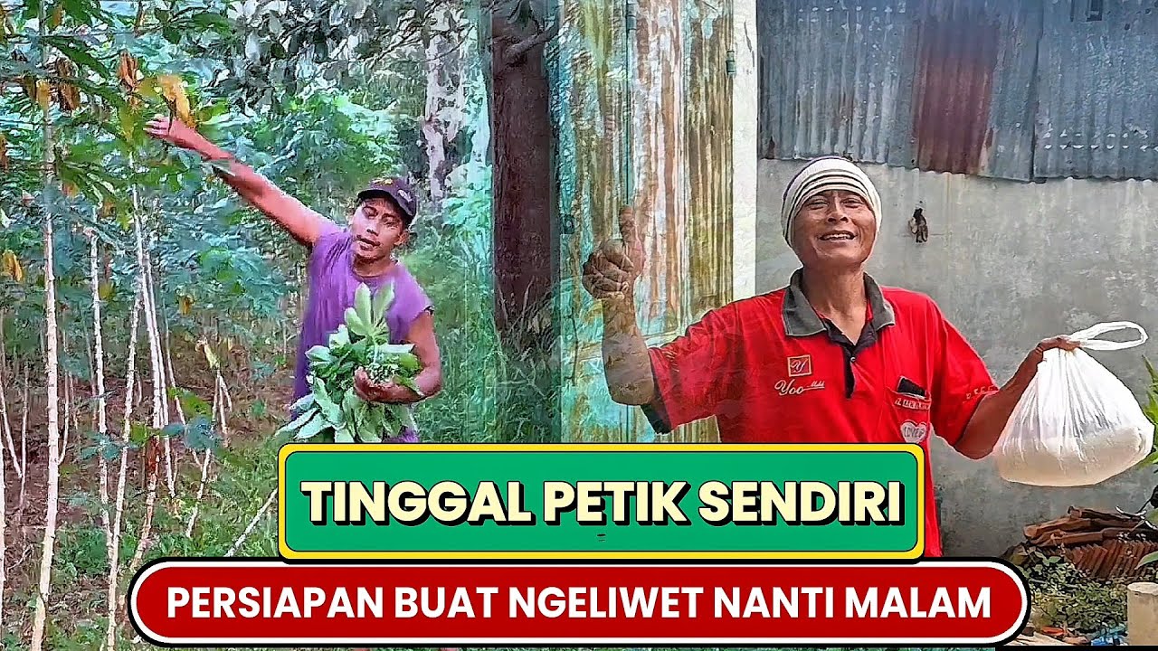 CARI BAHAN UNTUK MASAK NASI LIWET