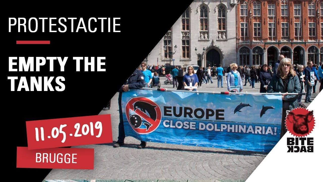 Empty the Tanks 2019, Brugge