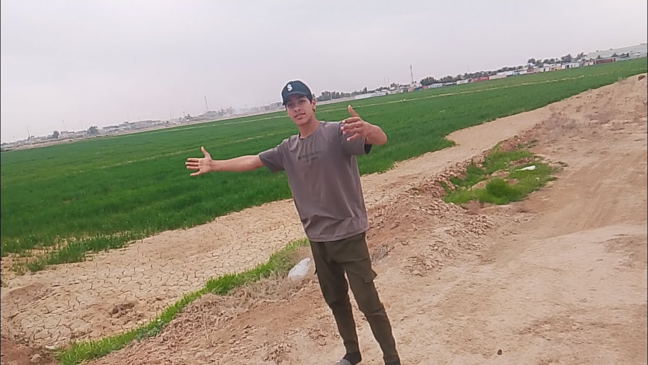 هلو شباب شلونكم شو اخباركم اليوم بعيدين المزرعه الفيديو جديد وحلو كلش لا تنسون اللايك والاشتراك
