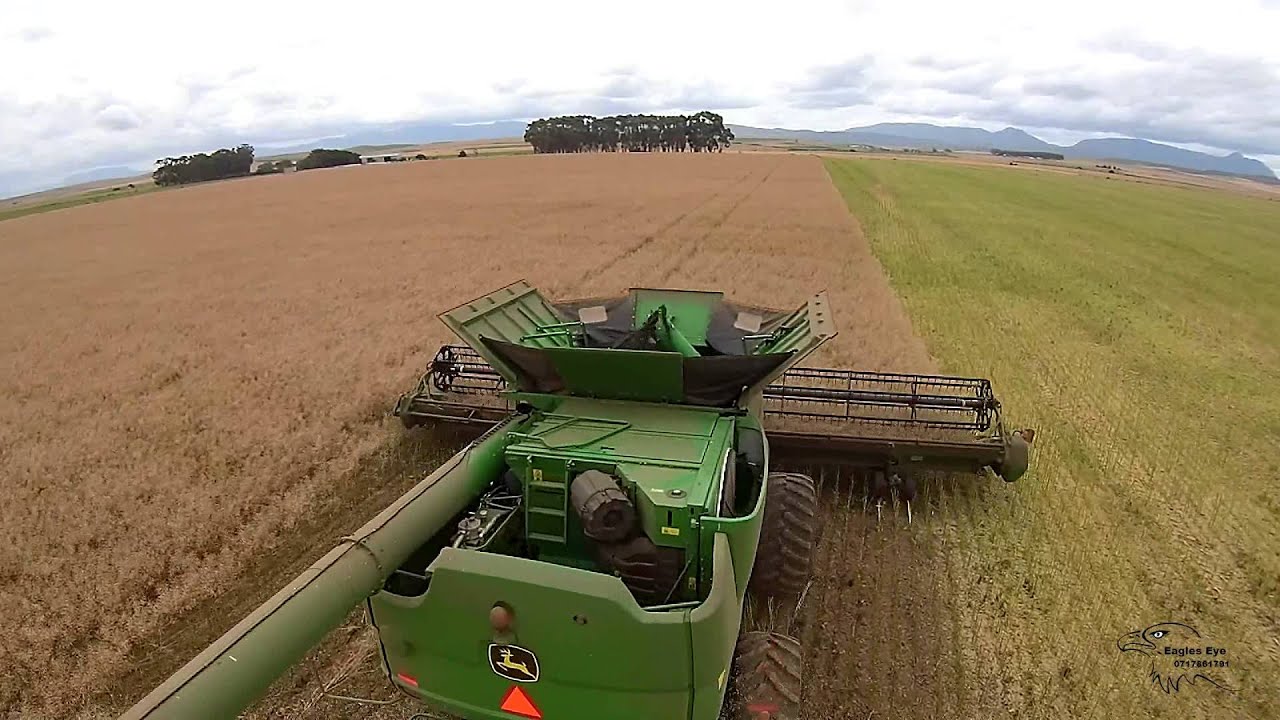 Harvesting Canola 2015 Vlakte Riversdale