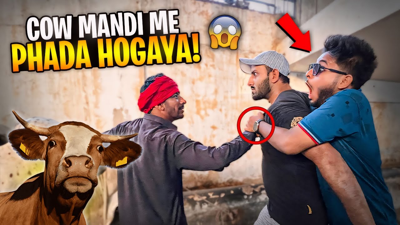 Cow Mandi Me Phadda Hogaya 😱 Fame Partners