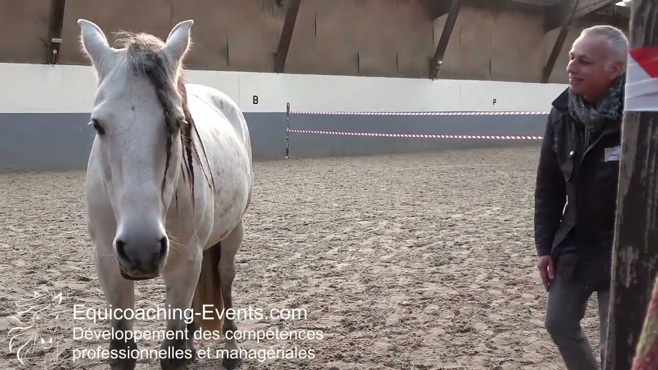 Equicoaching entreprise : leadership, cohésion d'équipe pour CODIR Casden Banque Populaire Chantilly