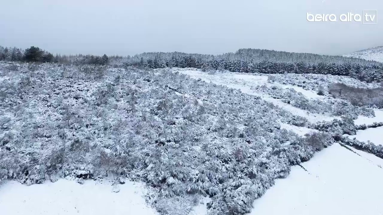 Neve em Prados | Celorico da Beira