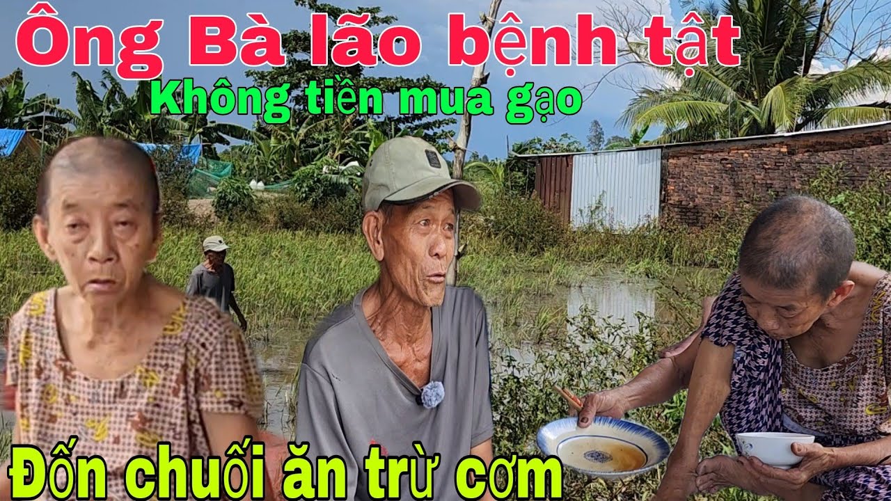 Ông Bà lão bệnh tật không tiền mua gạo đốn chuối ăn trừ cơm