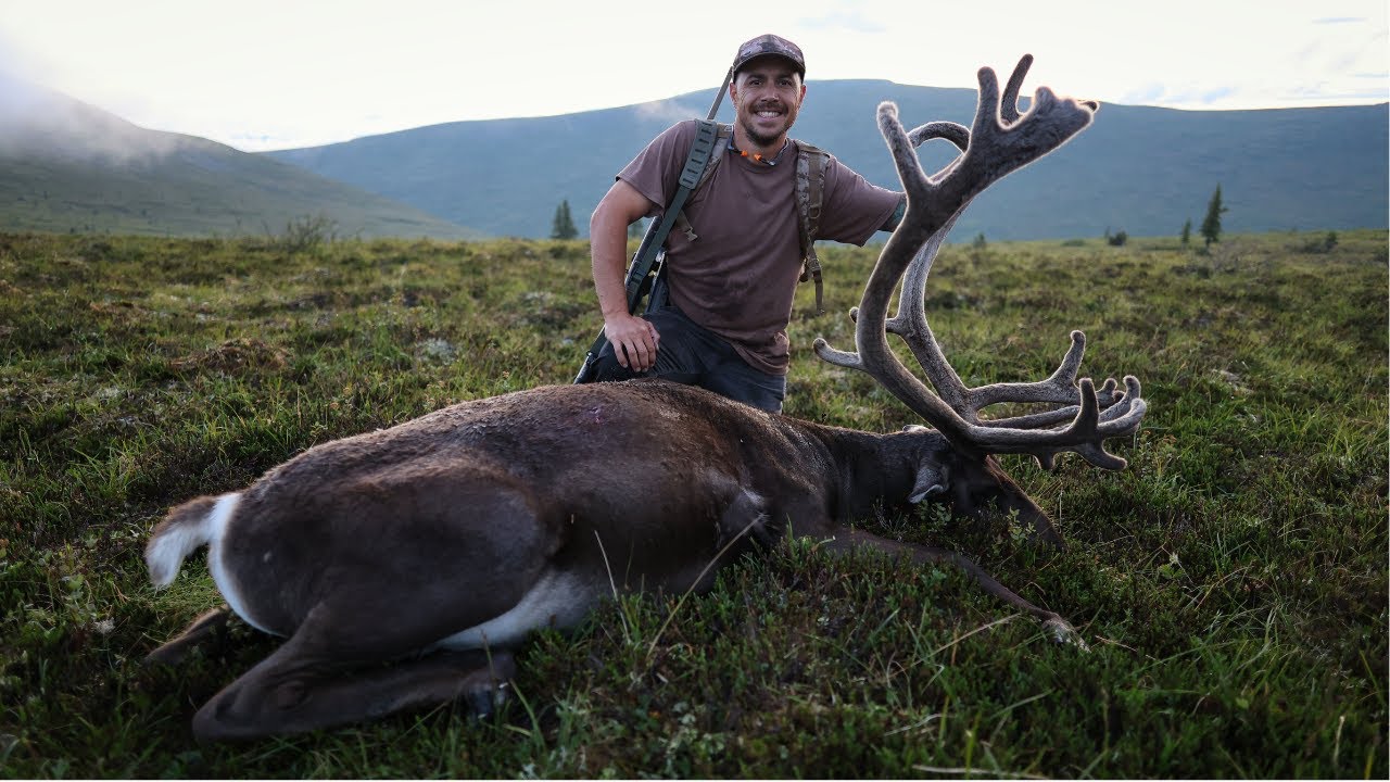 From Tundra to Table | Two Bulls Down