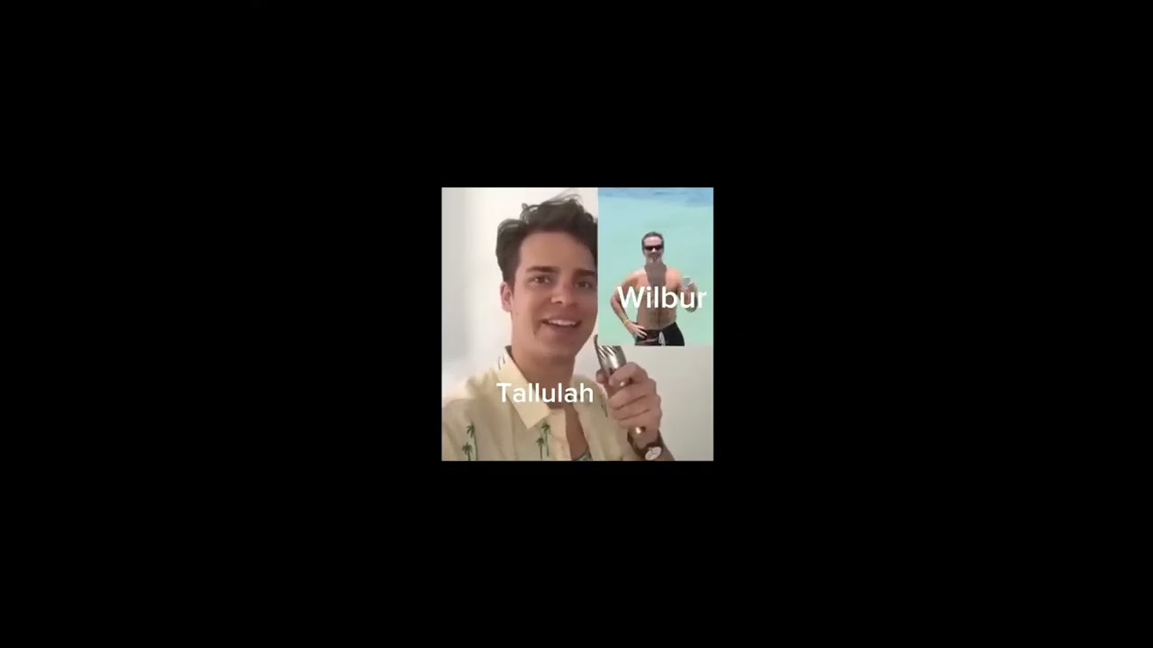 Qsmp as vines bc i love the qsmp