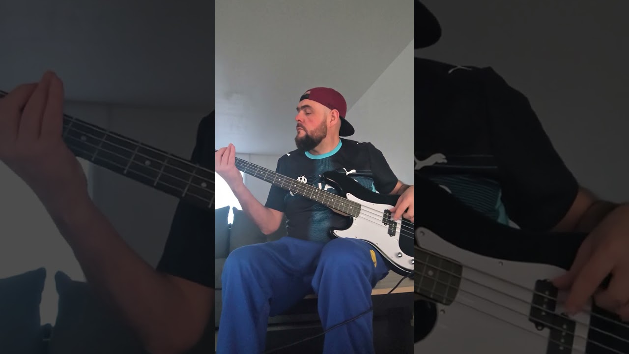 Linkin park what i've done cover bass 