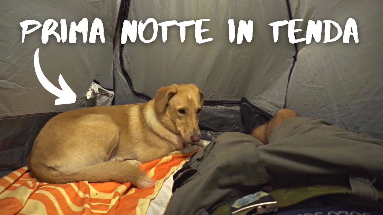 La sua PRIMA Notte in Tenda nel BOSCO!