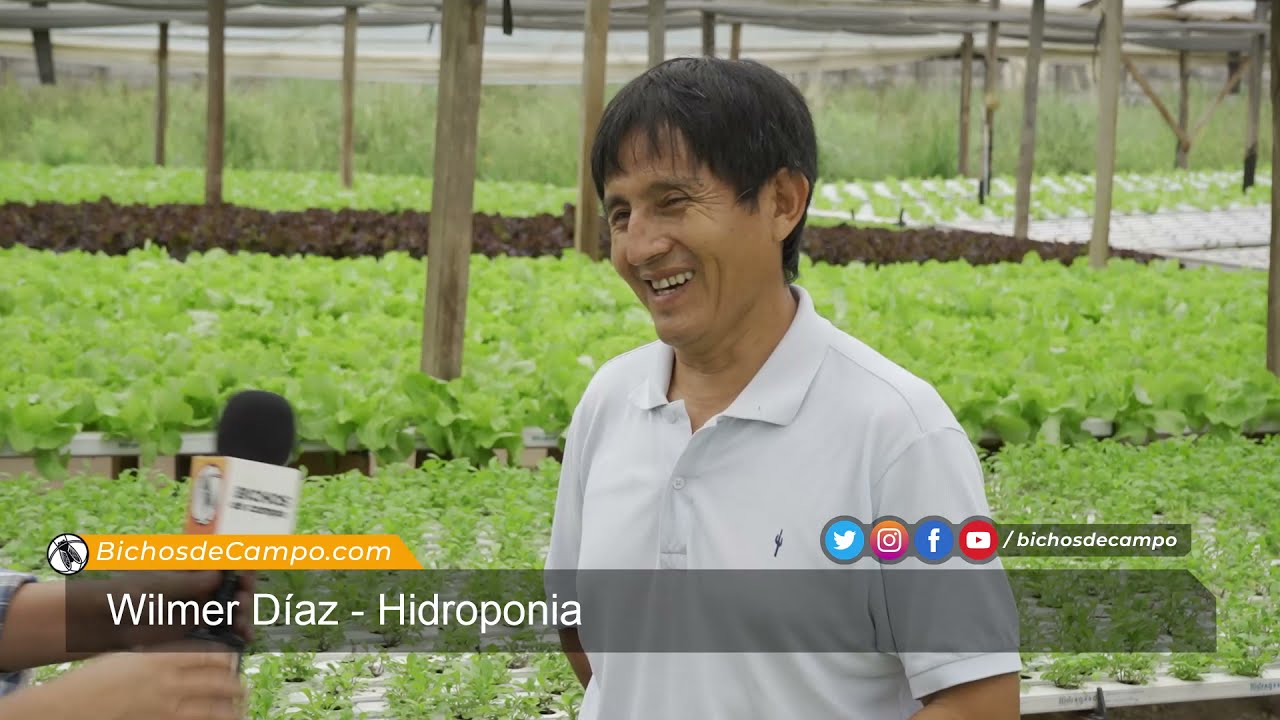 Wilmer Díaz, agrónomo y dueño de proyecto hidropónico en Derqui
