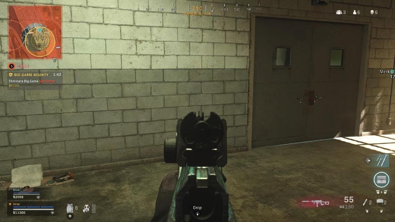 Stim Shot Warzone Win #38