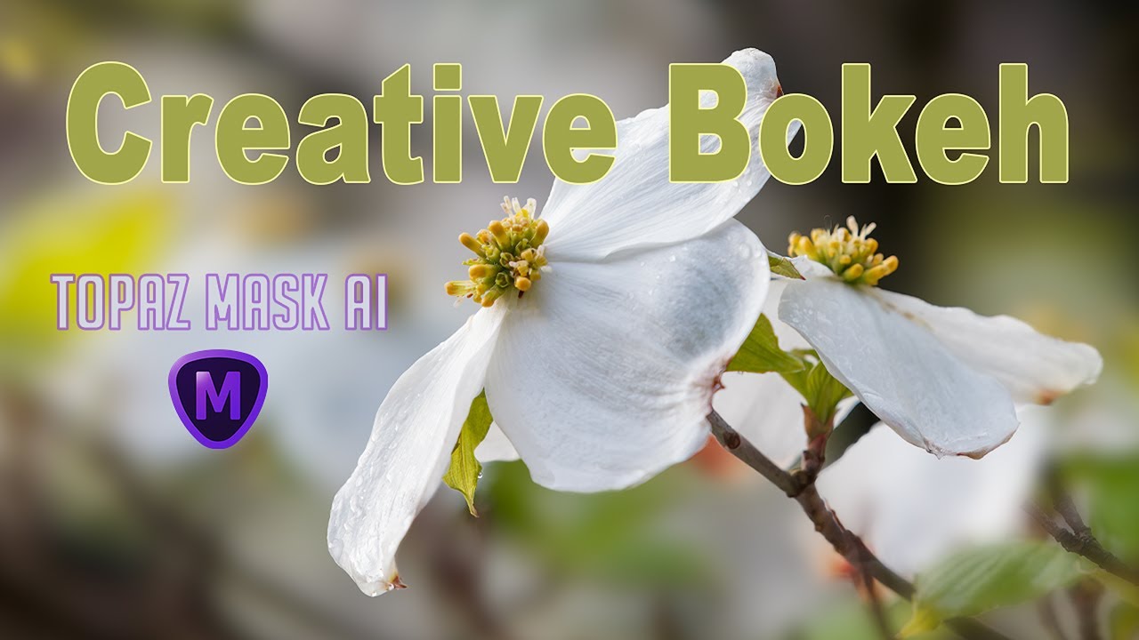 CREATIVE BOKEH: TOPAZ MASK AI