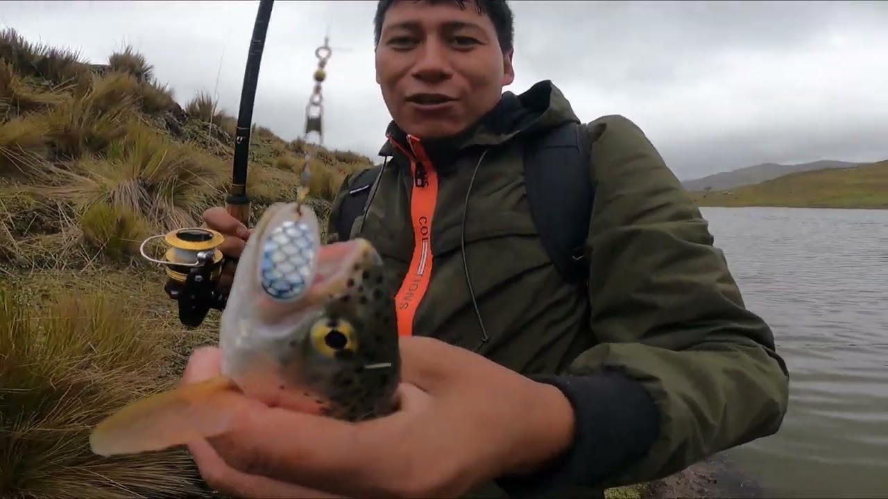 PESCA EN PERÚ-CUSCO-CALCA, Saliendo de aventura con los amigos de los CHALLHUAS.
