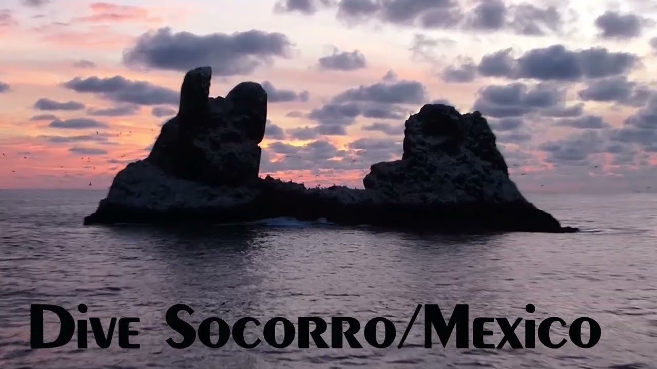 Socorro Diving - Roca Partida ( REVILLAGIGEDO Islands)