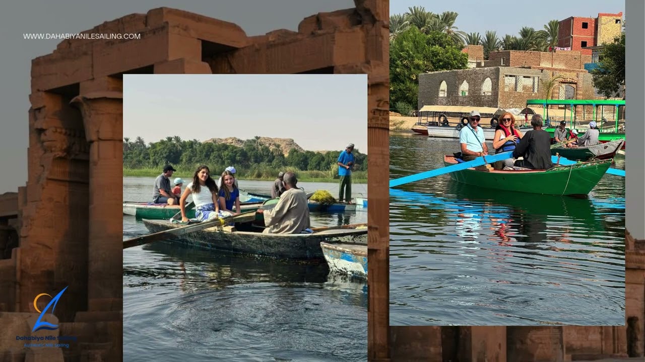 DNS - DNS ( R) 22.11.2025