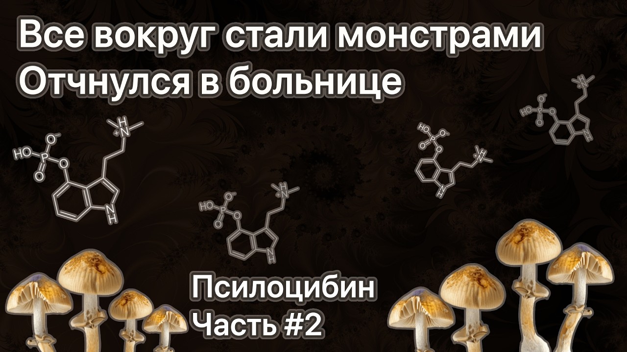3.5г грибов, не узнал родственников, проснулся в больнице | Грибы #2 | Трип репорт