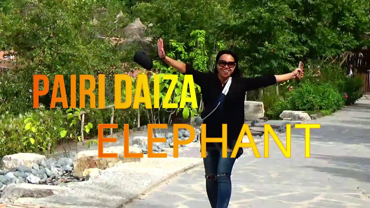 PAIRI DAIZA ELEPHANTS | Elephant in Pairi Daiza