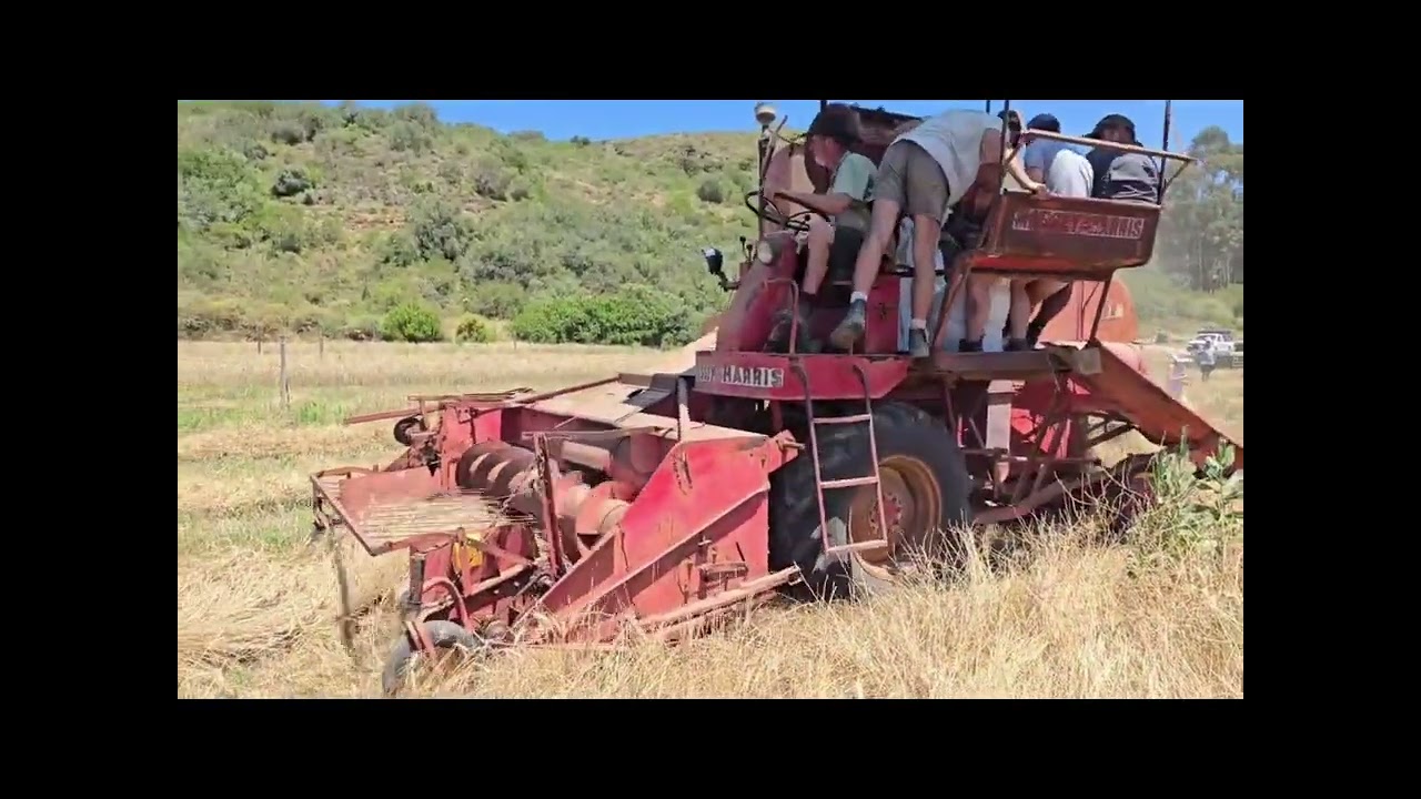 Platsny en Stroop Langeberg