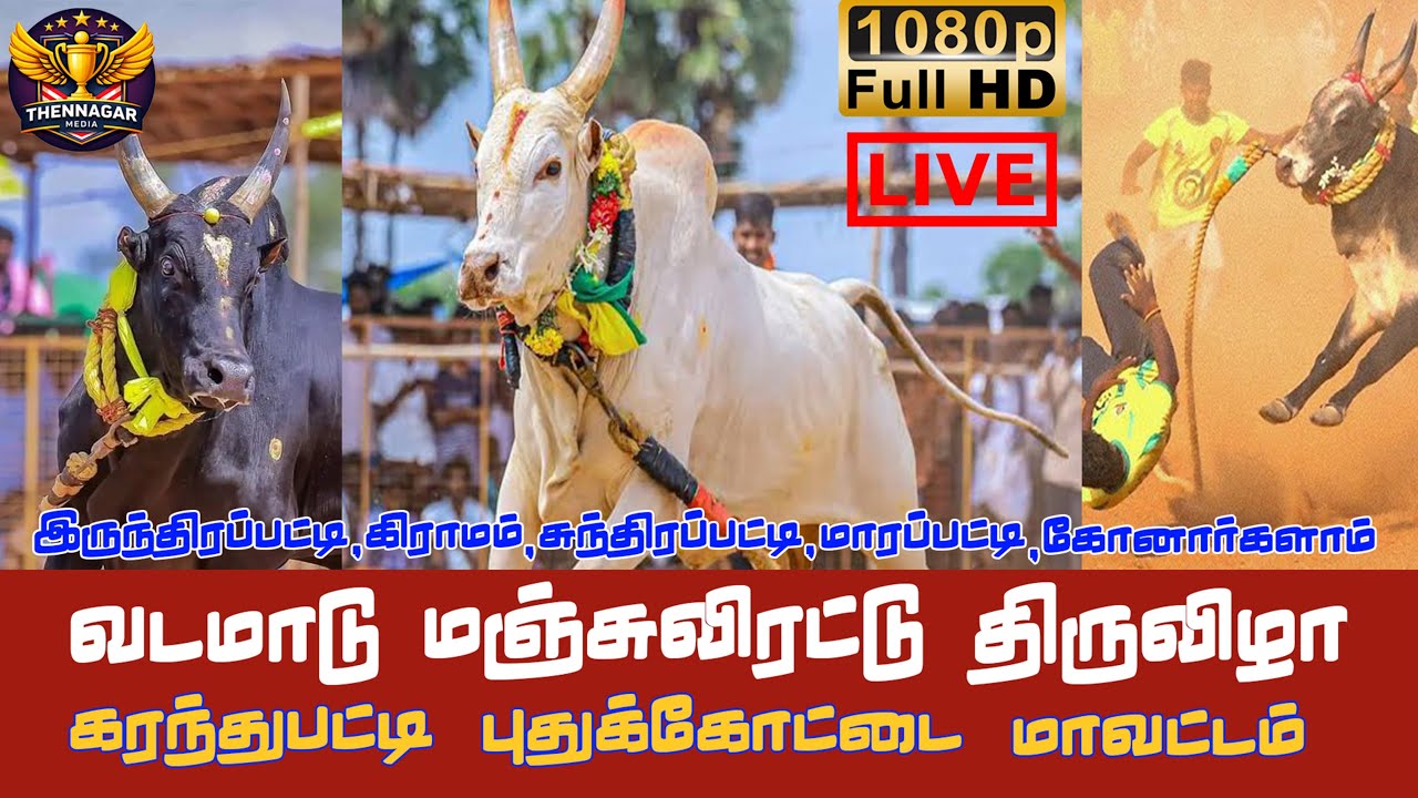 🔴LIVE கரந்தபட்டி வடமஞ்சுவிரட்டு  ||LIVE from #thennagar_media