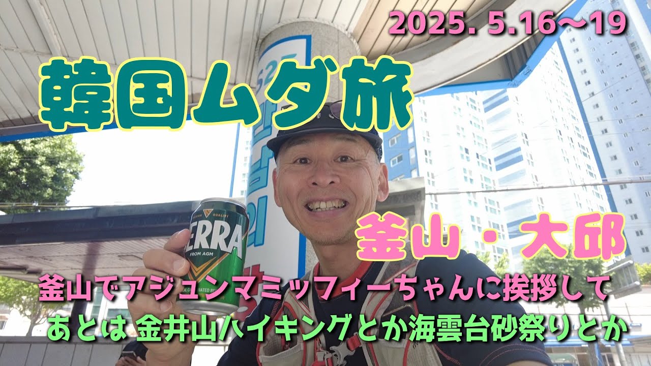 【Vlog】ひとり旅｜韓国 釜山・大邱の旅｜新千歳発着3泊4日