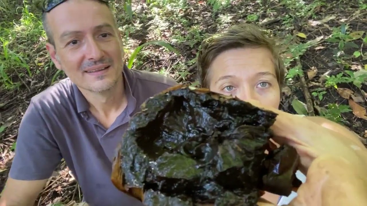 Le fruit chocolat 🍫 la sapote noire