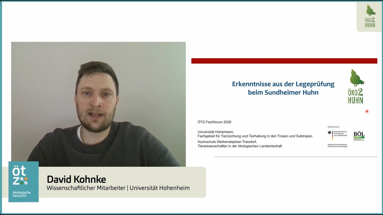 ÖTZ-Fachforum 2026 | Erkenntnisse aus der Legeprüfung beim Sundheimer Huhn