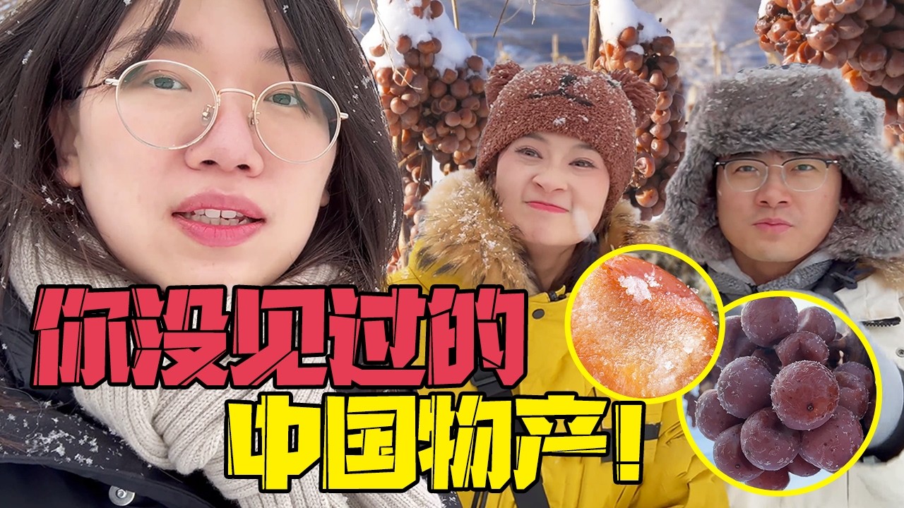 为了吃口这玩意，顶着零下20度的寒冬，我们来到了一个深山里的小岛！【中国物产】Ice grapes – a Chinese product you've never seen before【盗月社】