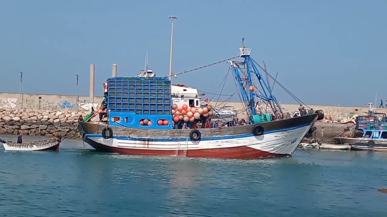 شاهد لحظة عودة مراكب الصيد الساحلي صنف السردين إلى ميناء الصويرة